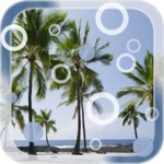 beach palms live wallpaper android application logo